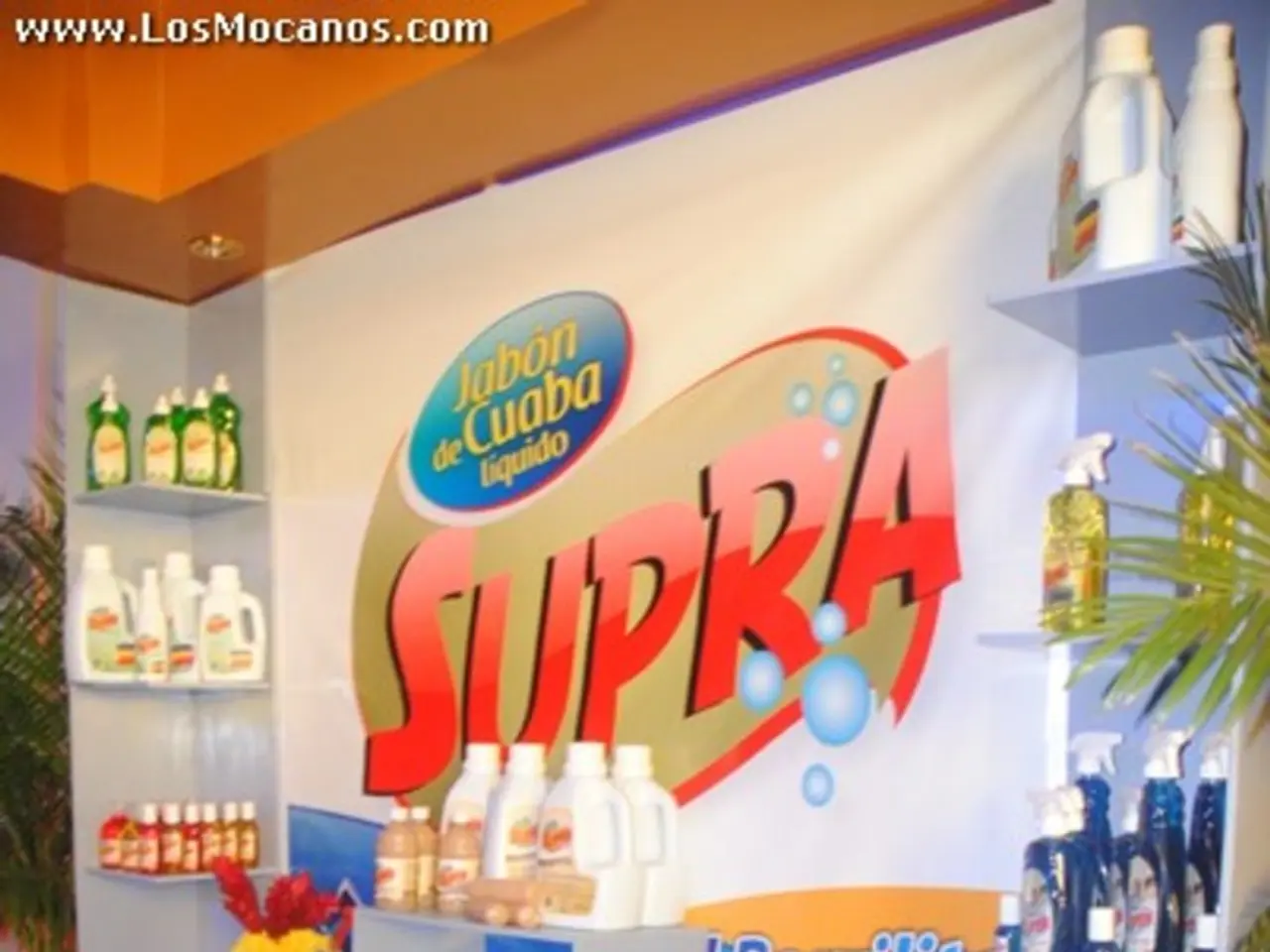 escalating concern over diminishing shareholder influence in fossil fuel annual general meetings...