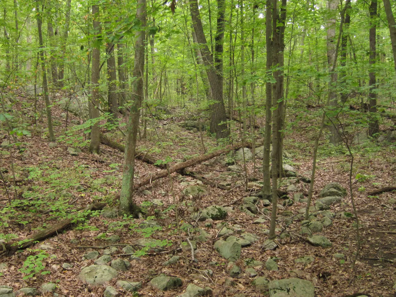 Outdoor Nature Activities for Every Age Group that Ignite Awe and Curiosity