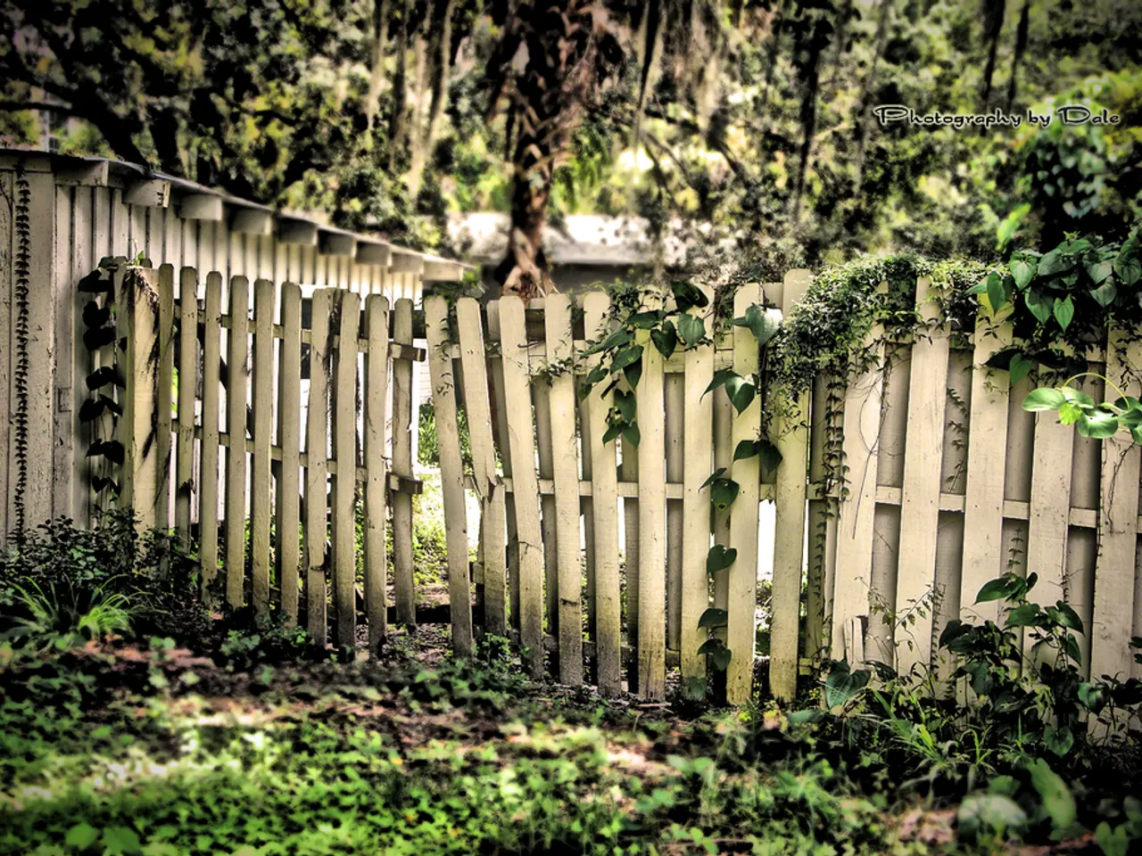 Discovering 7 Methods to Investigate Color Theory in Nature, Fueling Astonishment Beyond the...