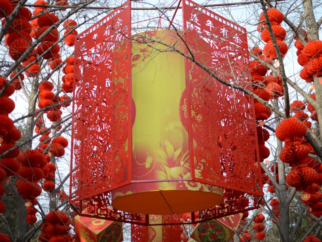 Simplified Chinese Go Language Learning: Effortless Mandarin Chess GameInstruction