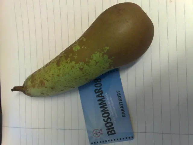 GCC Introduces Schengen-Like Tourist Visa in Coming Year - Important Details Inside