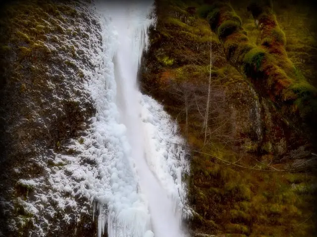 Eco-Friendly Cold Season Methods: Green Strategies for Winter Months