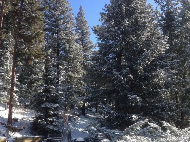 Central Canada Vacation during Autumn: Our Annual Thanksgiving Custom