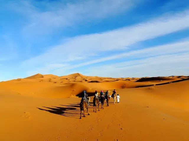 Experience the Sands of the UAE: Exciting Outdoor Pursuits and Journeys Across the Dunes