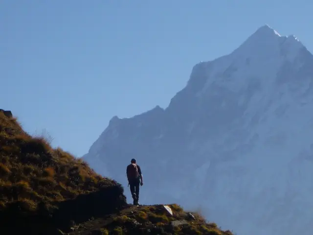 Traveler from Yaroslavl faces hospital stay after thrilling vacation in Anapa: Tourist's adventures...