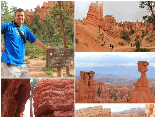 Experience the Past: Sujanpur Fort's Historical Ambiance