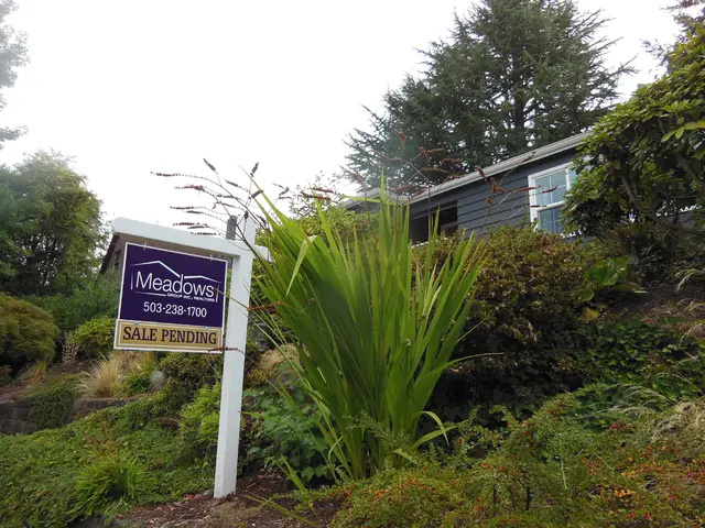 Neanderthal Migrations Unveiled at Winkels Mill: Unraveling the Natural and Historical Aspects