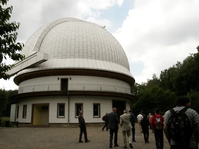 Top-Rated Hostels in Ubud, Bali: A Discerning Guide