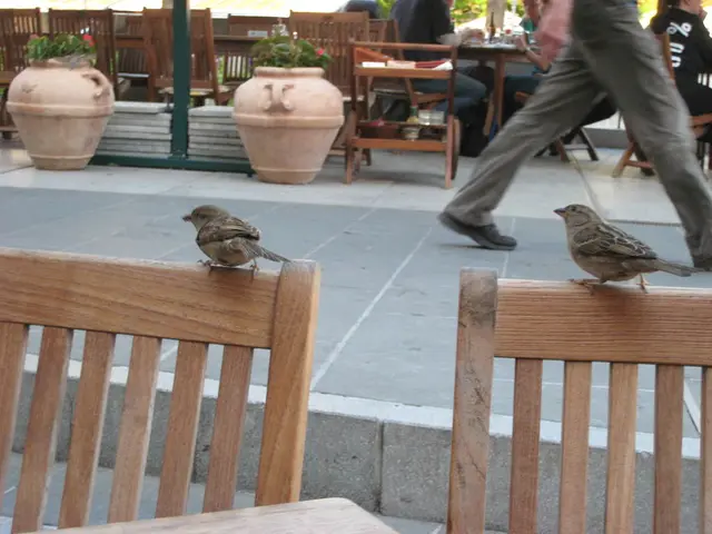 Strategies for Maintaining Wellness During Journeys: Guidance on Nutrition and Physical Activity