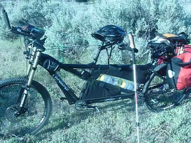 Affordable Bike Trailer Priced Incredibly Low at €150