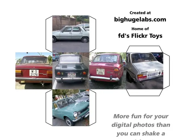 Guidelines for hitting the road this summer season