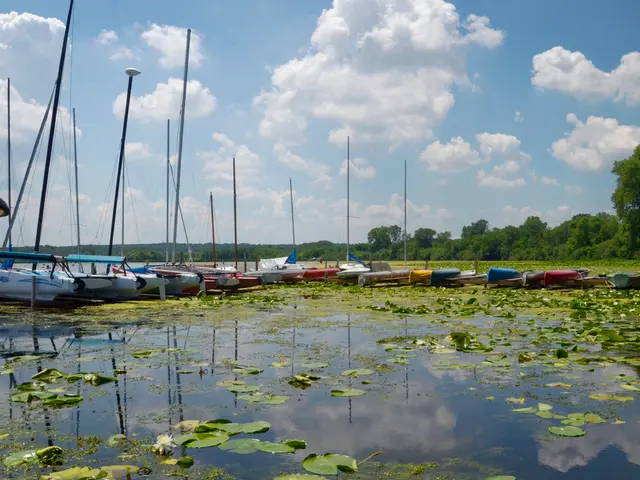 Uncover Seafaring Tales Unheard on the Web, Shared by Seafarer Teo Tomić on Šolta