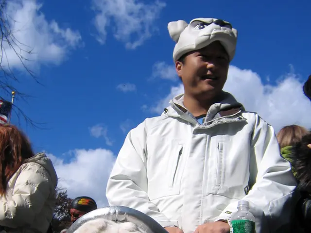 Spending a sunny break accompanied by a canine companion