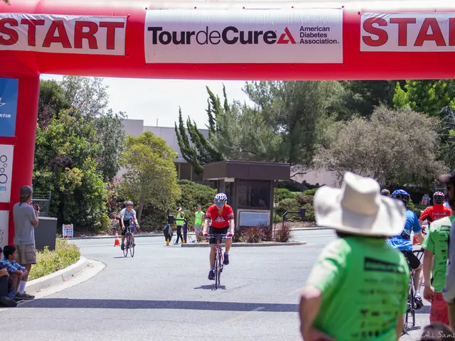 Smooth Transportation Provided by ZMF Freiburg: Efficient Bus and Shuttle Services for Peaceful...