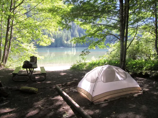 Secluded Riverfront Camping Sites Found in an Offbeat Texas State Park, Just a Hour's Drive from...