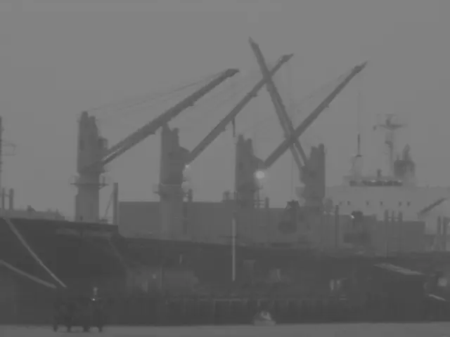 Increase in cruise ship traffic at ports by 18% during the initial months of 2025