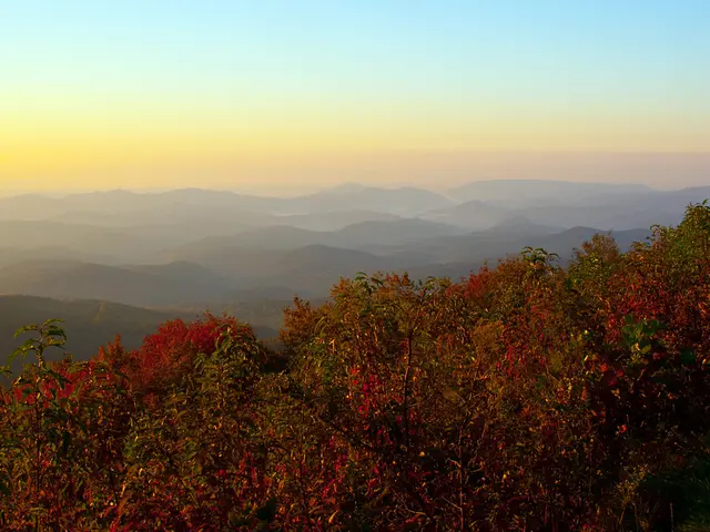 Arkansas' Mountainous State Park Offers Vibrant Hiking Trails and Highest Summit