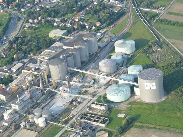 A81 road disruptions and traffic congestion caused by holiday travel