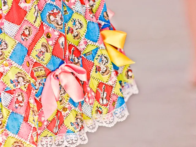 Strict Dress Code at Disney Parks Prohibits Certain Types of Clothing