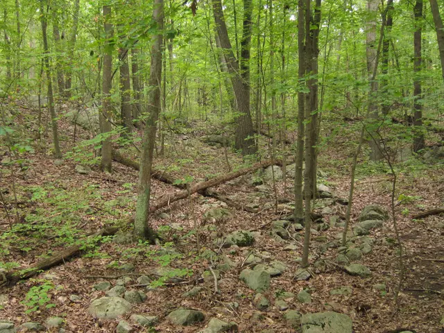 Outdoor Nature Activities for Every Age Group that Ignite Awe and Curiosity