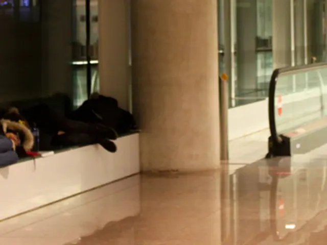 Bolt Introduces Real-Time Flight Monitoring for Airport Arrival Pickups within South Africa