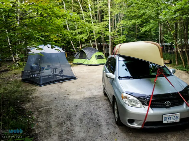 Annual inspection and maintenance for motorhomes and RVs