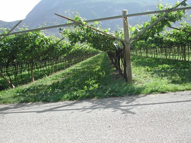 Construction of a new mountain road to connect Sharjah with Khor Fakkan's tallest summit announced