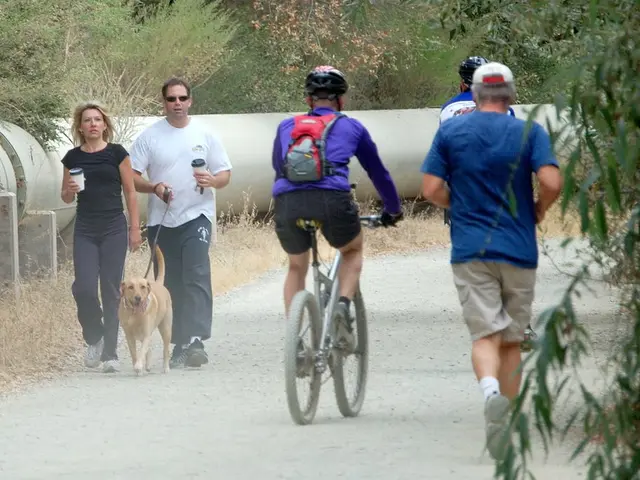 Is it possible to explore Tibet autonomously, without the assistance of a tour guide?