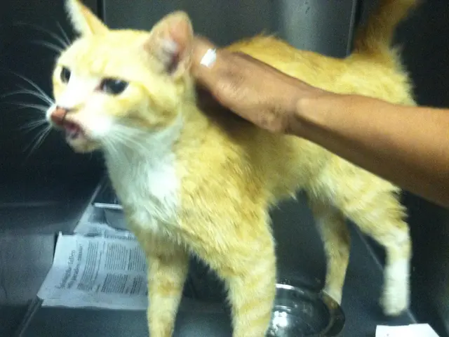 Noroviruses - An In-depth Look at These Common Causes of Stomach Flu