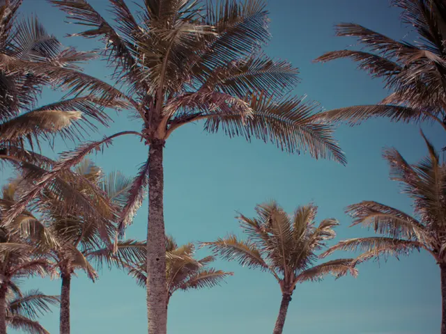 14 Fun, No-Cost Activities in San Diego