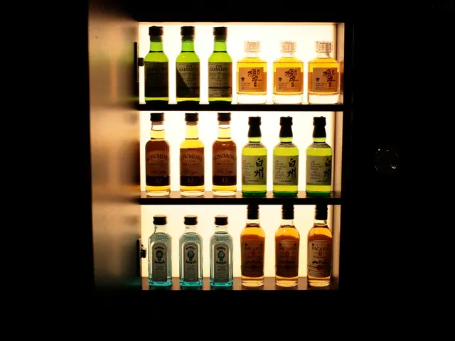 Wine Tasting Adventures with Bicycles in Mendoza