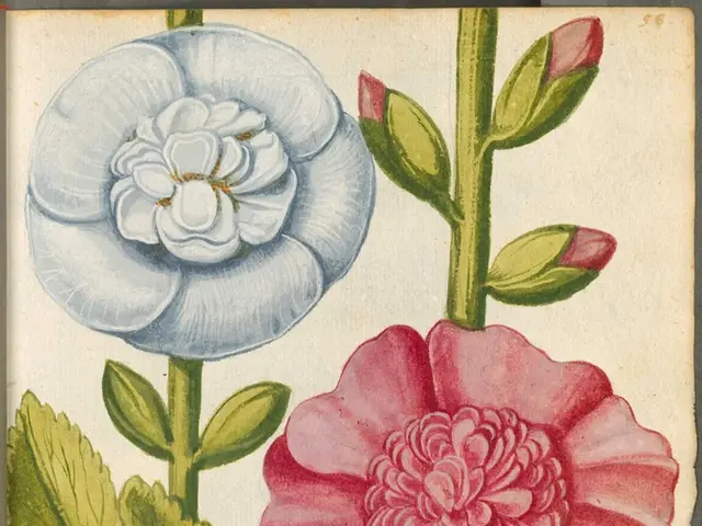 The Establishment and Its Proprietor: A Focus on the Tea Shop