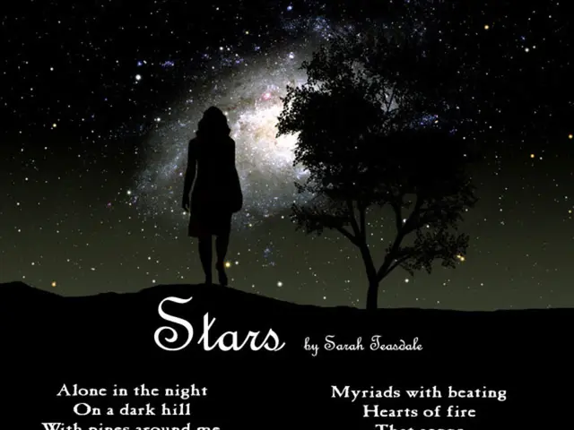 Exploring Artistry in Verse: An Overview of Poetic Techniques