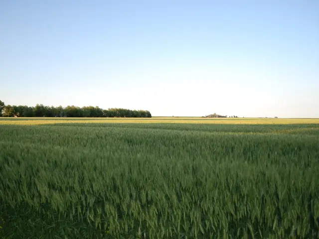 Travel Journal: Galway, Eire - An Exploration of Education Abroad