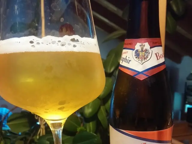 Discovering the Wine Regions of Croatia for Enthusiasts