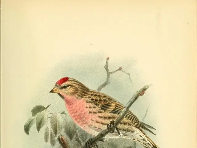 Easy DIY Handcraft Projects for Children's Fun and Engagement