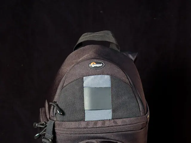 For Long Flights Ahead: 27 Walmart Finds That Will Prove Useful for Your Traveling Needs