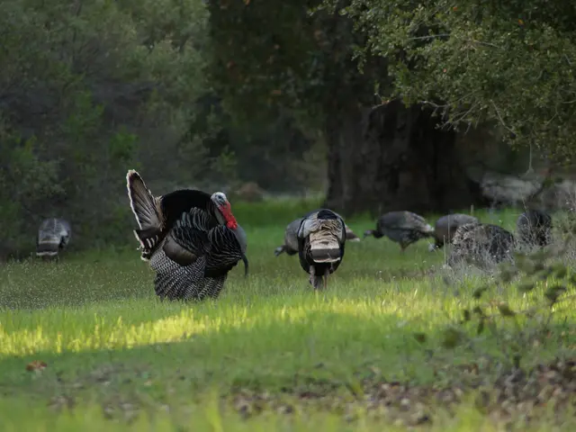 Airports reported serving over 135 million travelers between January and July of the current year