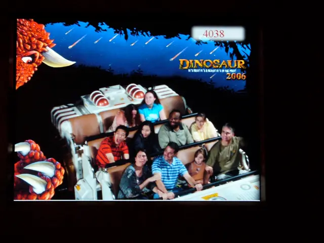 Exciting Movie Catalogue Crafted for Vagabonds and Fantasy-Seekers