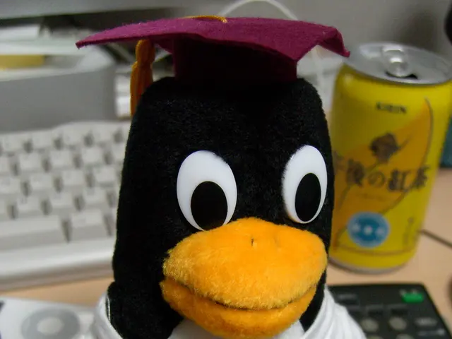 "A Glimpse at Instagram-Worthy Infant Outfits (19 Total)"