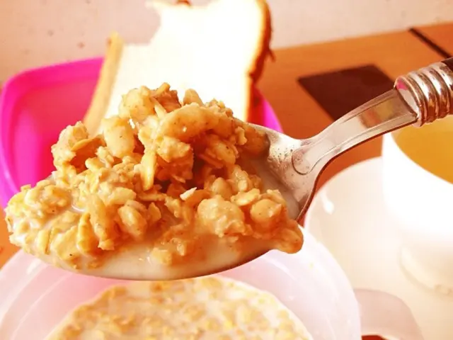 'A Collection of Simple Sudanese Dishes'