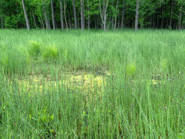 Guidelines for Organizing Agriculture-Based Outdoor Adventures to Foster Practical Knowledge and...