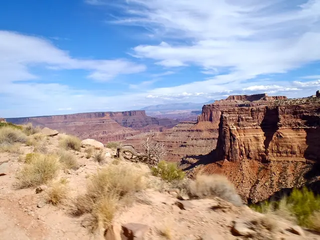 Spotlight on Homepage: Interactive Guide for Hessian Kegel Exercises