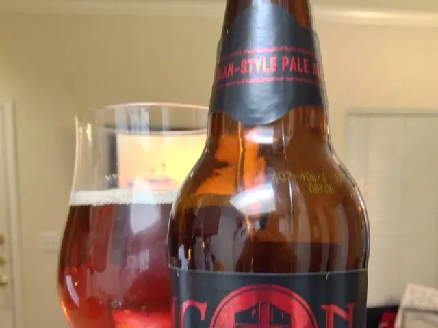 Managing Foreign Currency Transactions whilst exploration: Understanding Exchange Rates, ATM Fees,...